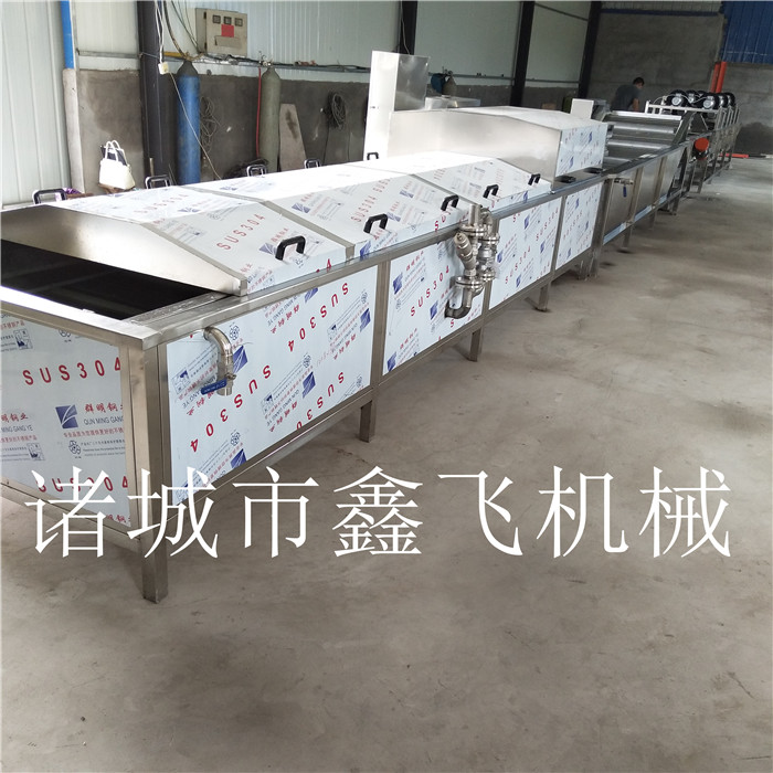 萵筍清洗漂燙加工線